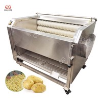 Fruit- en groentewasser, -schiller, aardappelwas- en sorteermachine, roestvrij staal, elektrische motor met hoge efficiëntie