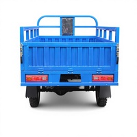 Tricycle à essence grande capacité 150cc pour le transport de marchandises, moto-tricycle motorisé à forte charge, vente en gros
