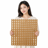 Panneau décoratif en résine PETG tressé en maille, couleur rotin bambou, pour meubles, portes d'armoires, usage domestique et hôtelier, étanche