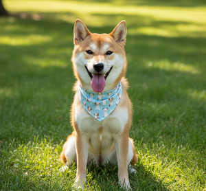 Pañuelo Triangular Sublimado para Mascotas con Diseño y Logotipo Personalizados para Perros y Gatos Franceses, Pedido al por Mayor - Product Image 5