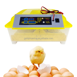 Yyc Máy ấp trứng tự động nở 36 Máy ấp trứng gà - Product Image 1