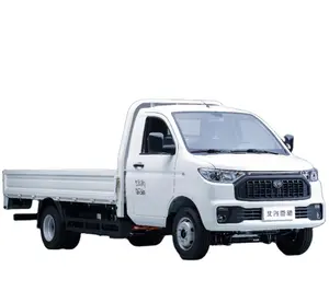 厂家价格批发高品质4x2小型货车货车待售电动车2座冰箱