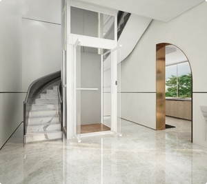 현대적 디자인 빌라용 소형 주거용 리프트 엘리베이터 에너지 효율적 공간 절약 AC 드라이브 250-410kg 부하 용량 - Product Image 2