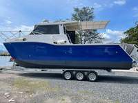 8.8m 29ft En Aluminium soudé catamaran bateau mer cruiser aluminium cabine de bateau de pêche à vendre