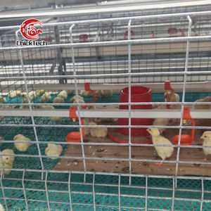 Nouvelle cage automatique pour poulets pondeuses de <span class=keywords><strong>type</strong></span> <span class=keywords><strong>A</strong></span>, en acier galvanisé à chaud argenté, durée de vie supérieure à 18 ans pour l'élevage avicole - Product Image 5