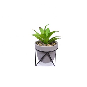 Personnalisez le nouveau pot de plantes succulentes de couleur de ciment le plus populaire de conception avec le cadre de fer - Product Image 1