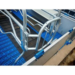 Offerta Speciale: Gabbie per Parto Suini, Attrezzature per Allevamento Suini, Box e Letti per Suini - Product Image 6