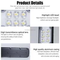Lampadaire 30W 50W 100W AC IP65 Étanche LED pour usage commercial, jardin et extérieur