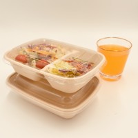 Boîte à salade jetable en pulpe de bagasse, rigide, anti-graisse, biodégradable, écologique, compostable, type bento, avec pelliculage mat