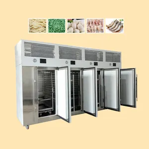 AICN fries iqf blast quick freezing machine equipment for sale