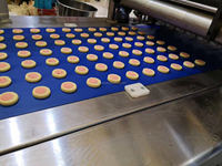 HYRXL-100 Transformation Industrielle Automatique Deux Couleur/Trois couleur Panda/Échecs Biscuits Biscuits Faisant La Machine Prix