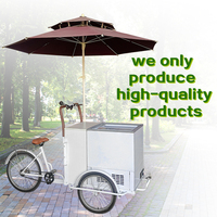 Chariot de crème glacée commerciale, glacière tricycle congélateur chariot de vélo vente de jus et de crème glacée chariot alimentaire mobile avec roues