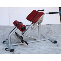 Nouveau banc d'exercice abdominal Cybex en acier de couleur commerciale, chaise romaine, extension dorsale pour l'entraînement physique, en vente
