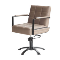 Accepter uniquement la personnalisation Womens Professional Salon Hairdressing Fauteuils Chaise Pour Salon de coiffure Femme Salon Meubles