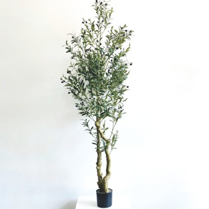 Vente en gros de fausses olives artificielles en plastique <span class=keywords><strong>pour</strong></span> décoration intérieure au toucher naturel 150cm 5ft Plante d'olive artificielle avec <span class=keywords><strong>pot</strong></span> - Product Image 2