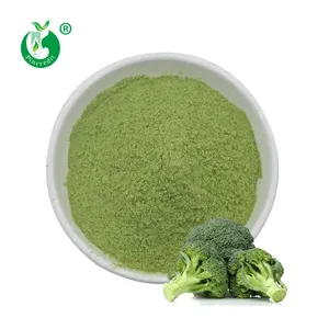 China Supplier Wholesale Bulk Broccoli Powder