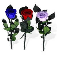 UKIQUEEN Vente en gros de roses éternelles faites à la main, cadeaux pour la Saint-Valentin, roses conservées à longue tige dans des boîtes cadeaux