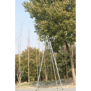 Vente en gros de niveaux laser rotatifs réglables avec trépied, outils de prisme, ingénierie <span class=keywords><strong>ELT</strong></span>-80, poteau télescopique en aluminium de 2,95 m - Product Image 2