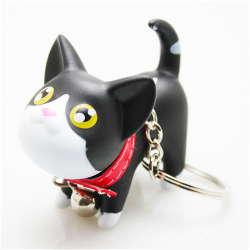 Chat noir et blanc