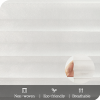Stores plissés horizontaux modernes sans fil de haute qualité en tissu non tissé polyester/PP pour fenêtres