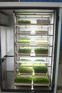 חקלאות מכונות צמח nurery מספוא חיטה אורז מספוא הידרופוני זריעה מכונה - Product Image 4