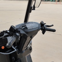Tricycle électrique cargo à carrosserie ouverte avec phare LED et rétroviseur, batterie 72V, autonomie 70-90km, idéal pour les trajets domicile-travail en maison de retraite