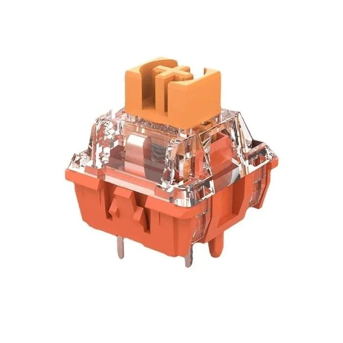 Corail Orange-Jerrzi