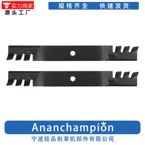 Lames de tondeuse à gazon 538mm GX22151, paquet de 2 pour accessoires de tondeuse à gazon - Product Image 3