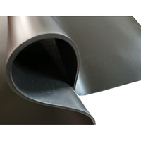 Rouleau de mousse d'absorption des chocs d'isolation thermique de feuille de caoutchouc mousse de latex noir NBR / PVC EPT