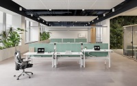 Système de bureau assis-debout électrique à double moteur ergonomique pour 2, 4 ou 6 personnes, idéal pour les bureaux modernes et ouverts