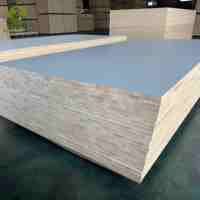 Panneau de construction en bois de sapin massif de 18 mm, étanche, plaqué mélamine, écologique, première qualité, pour la construction, la cuisine et l'école
