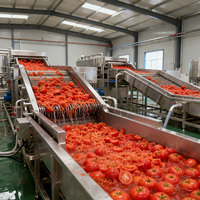 Ligne de transformation de la tomate entièrement automatique Longkun - Ligne de production intégrée de transformation de la pâte de tomate à grande échelle