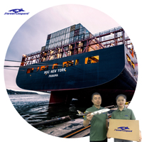 Professionnel pas cher rapide chaussure téléphone Dhl Agent d'expédition SeaFreight expédition de la Chine vers les états-unis royaume-uni CA DDP photographie gratuite