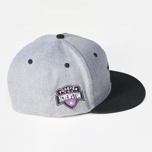 Lanhai High Quality 6 Panel 3D Embroidery <b>Flat</b> Brim Two-tone Basketball <b>Cap</b> Custom <b>Hat</b> Fashion Outdoor - Product Image 3