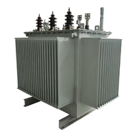 HDT S13-M 100kVA-315kVA Üç Fazlı Yağlı Tip Dağıtım Trafosu 10kV 110kV 220kV NX3 IEC OEM ODM Orta Doğu CE