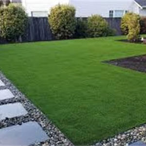 Construction & Real Estate Colle liquide pour pelouse pour l'installation de gazon artificiel dans les gymnases - Product Image 2