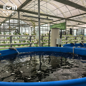 Système d'aquaponie en serre clé en main commercial, kit complet pour l'élevage <span class=keywords><strong>biologique</strong></span> de poissons et de légumes - Product Image 1
