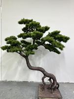 Pierre de jardin artificielle en forme de pin, plante décorative de style chinois pour hall d'entrée et sous les escaliers
