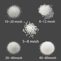 Sacchetto da 25Kg di Saccarina Sodica Dolcificante Alimentare 99% Pura CAS 128-44-9 5-8/8-12/10-20/20-40 Mesh E954 Marca TXJ