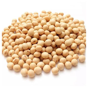Low Price High Fibre Protein 100% Healthy Food Fresh Non-gmo Dried Sweetened Soybeans Suppliers - Product Image 2