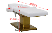 Lit à Cils Moderne Luxueux 3 Moteurs Réglable Salon Électrique Spa Traitement Table de Massage Facial Cosmétique Lit de Beauté pour Hôpital