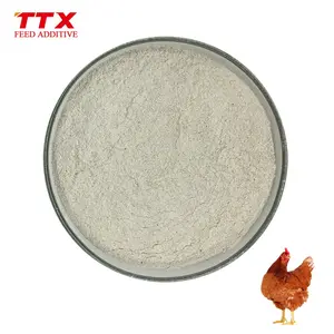 Volaille probiotiques bacillus subtilis poulet probiotique