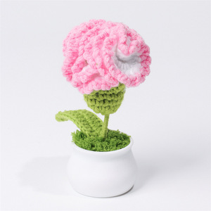 Ganchillo Hecho a Mano, Clavel, Corazón <span class=keywords><strong>de</strong></span> Ganchillo, Cactus en Maceta, Regalo <span class=keywords><strong>de</strong></span> San Valentín o Día <span class=keywords><strong>de</strong></span> la Madre para Mamá, Niñas, Flores <span class=keywords><strong>de</strong></span> Ganchillo - Product Image 6