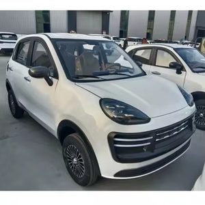 Mini Voiture Électrique de Luxe 5 Places Neuve à Énergie Nouvelle 60V 72V avec Batteries au Plomb-Acide ou au Lithium, Blanche, Fabriquée en Chine - Product Image 4