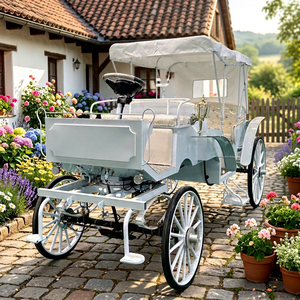 Vente d'usine : Chariot de transport extérieur électrique blanc vintage, élégante carrosse à chevaux - Product Image 1