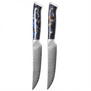 Couteau à steak en acier au carbone Damas VG10 de 5 pouces, 67 couches, design oriental traditionnel, manche en résine noire, écologique, pour trancher - Product Image 3