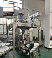 Machine d'emballage multifonctionnelle VFFS pour semences et chips de pommes de terre, avec peseuse multi-têtes standard à 10 têtes