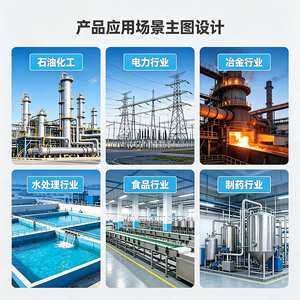 Instrument de mesure de niveau capacitif série FMI E+H Endress+Hauser, instrument de mesure d'interface, original, industriel, fabriqué en Chine - Product Image 2