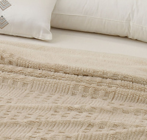 Poland Stocked 100% Polyester Woven Winter Fleece Solid Europe Style Bed <b>Throw</b> Blanket Fast Shipment Warm Soft Travel Airplane - Product Image 5