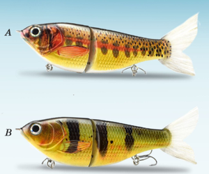 Trazo en forma de S Plástico 170mm 70g Agua de fondo medio 2 secciones Hundimiento lento Ojos 3D Señuelo bónico Cebo de natación de pesca dura - Product Image 5